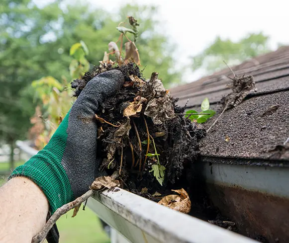 Gutter Cleaning
